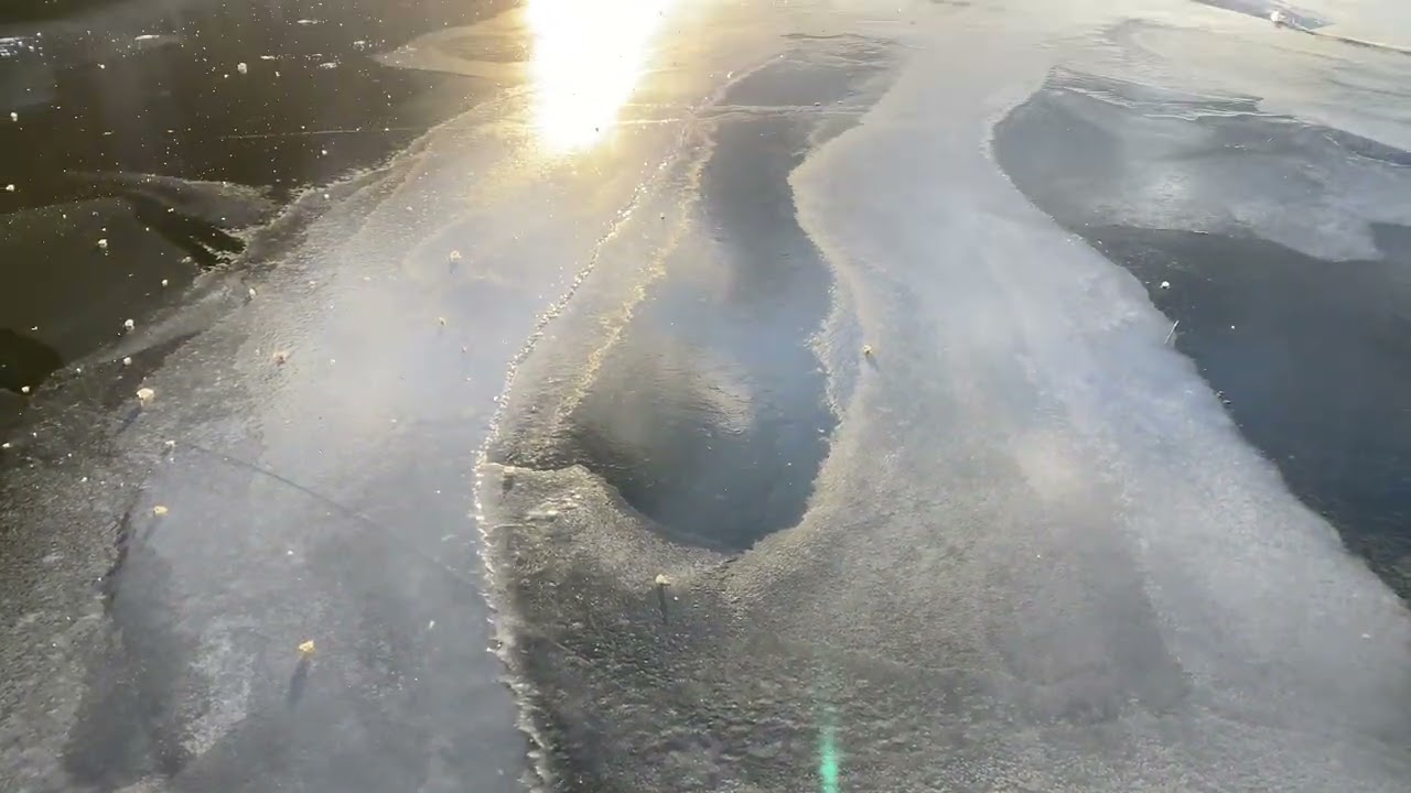 Stockholm walks. En promenad längs stranden av en frusen sjö.