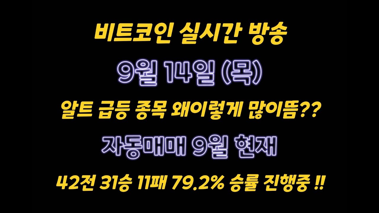 비트코인 9월 14일 라이브 방송 / 알트 급등주 왜이렇게 많이뜸 ?? / 자동매매 9월 현재 42전 31승 11패 약 79.2% 승률 진행중 !!