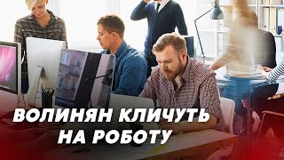 ЗАРПЛАТА 60 000 гривень ⚡ ТОП 10 вакансій на Волині