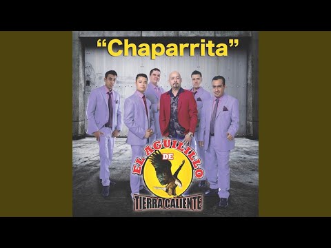 Watch the video for Prietita chula