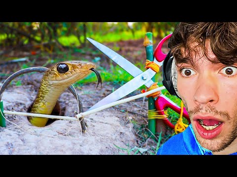 Vidéo: Comment piéger un serpent : 14 étapes (avec photos)