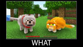 Minecraft wait what meme part 278 realistic minecraft Dog and Cat