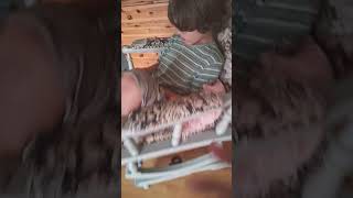 Download Lagu vivil MP3