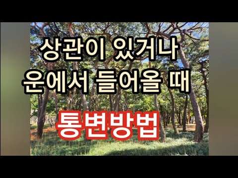 원국에 상관이 있거나 상관이 운에서 들어올때...기초통변