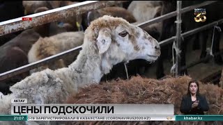 Реферат: Радиорелейная линия Мангыстау - Жармыш на аппаратуре NERA