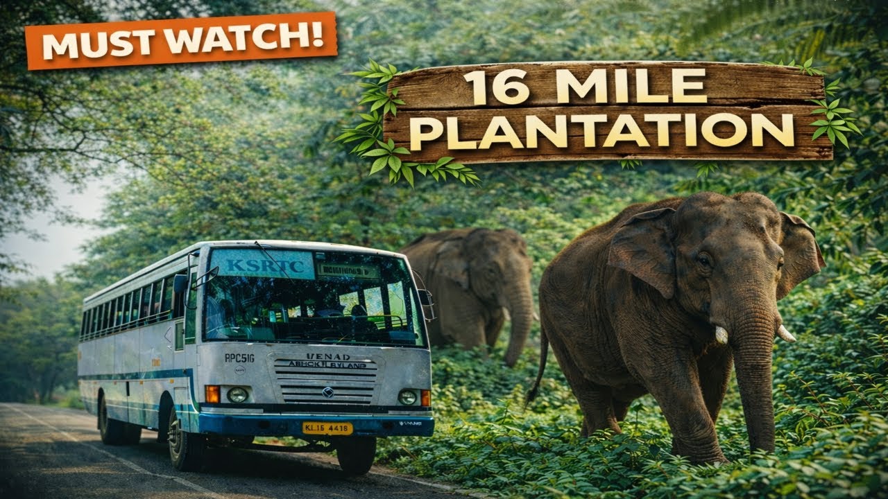 Valparai kallady (New Forest Bus Route) 16m Mile plantation,