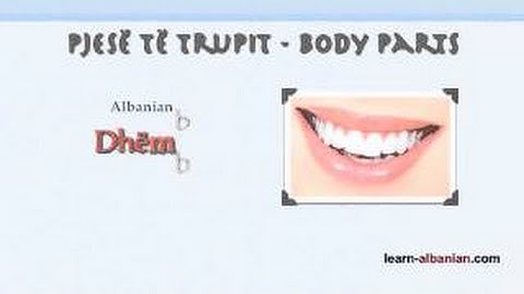 Body Parts in Albanian / Learn Albanian language