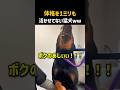 体格を1ミリも活かせてない猛犬ww