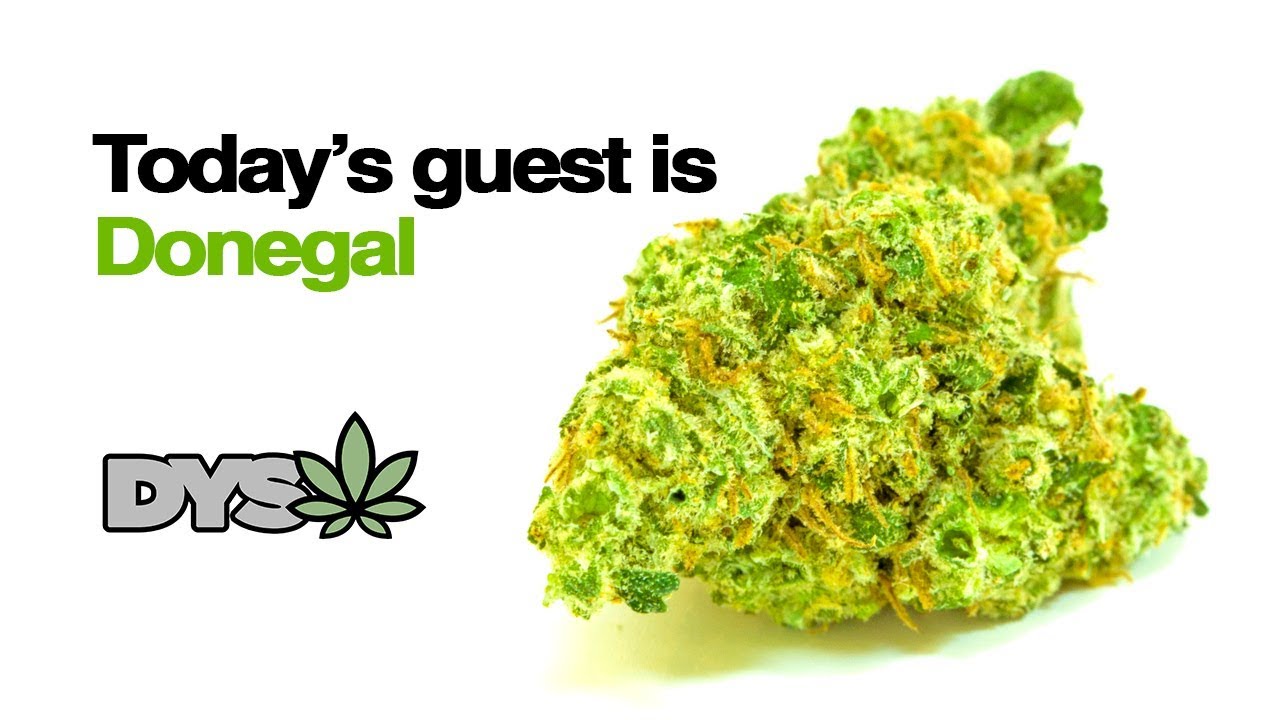 DYSW - DONEGAL (recreational)