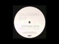 Caucasian Boy - Northern Lights (Project 1 Remix)