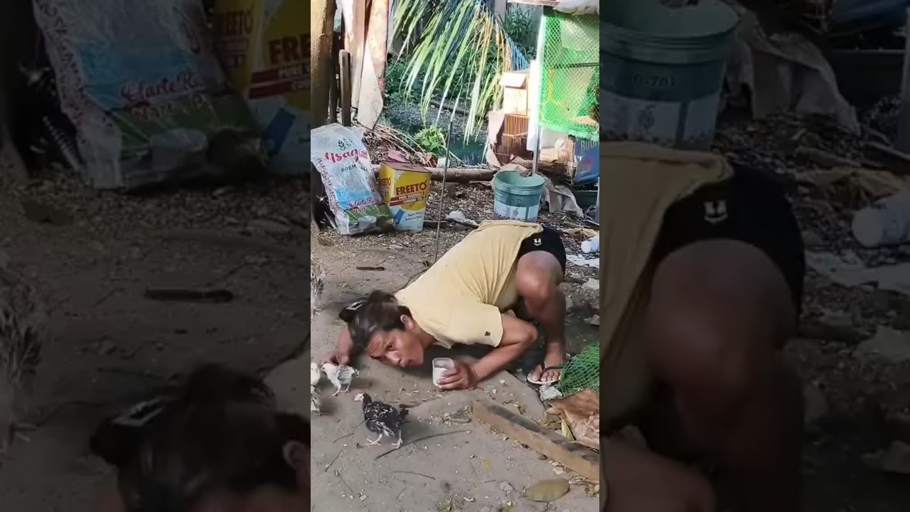 #shortvideo #goodvibes #youtubeshorts #youtubevideo #youtube