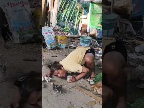 #shortvideo #goodvibes #youtubeshorts #youtubevideo #youtube