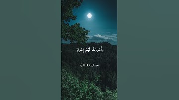 سورة نوح ماهر المعيقلي