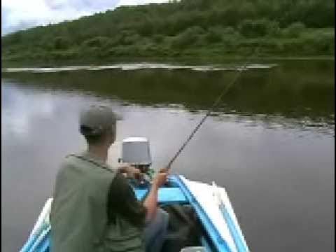 Видео ехал на рыбалке. Видео ехал на рыбалке. Курьезы на рыбалке. Видео ехал на рыбалке. Видео ехал на рыбалке.