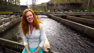 Sally Eason Trout Farmer