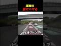 セレナ、気づかず終了