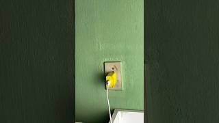 ¿Tienes un cable USB en casa? Hace esto. #Consejos #TV #Smart #Televisión