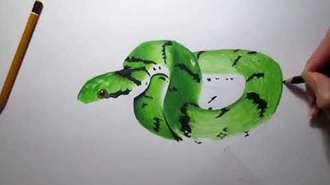 Draw realistic snake with colour pencil