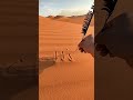 إسم رشيد على الرمال إسم رشيد على الرمال
