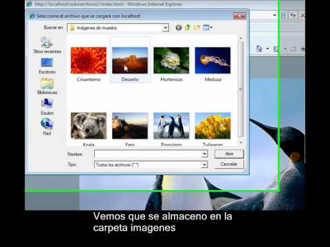 Carga de archivos al servidor con Flex.