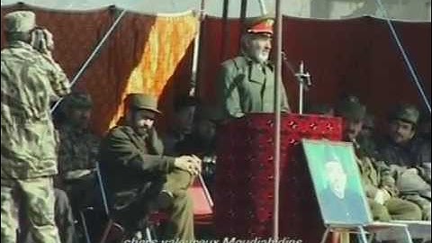 DDR (Disarmament, Demobilization, Reintegration) un film d