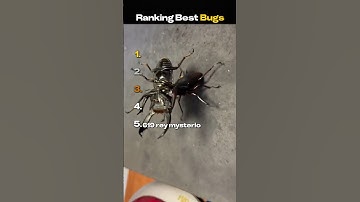 Ranking Best Bugs