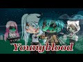 Youngblood ❤️ - 5 Seconds of Summer [GACHALIFE]