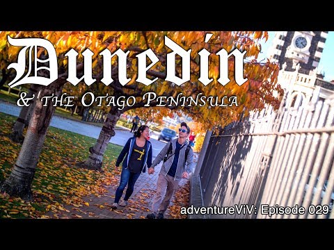 Dunedin and The Otago Peninsula