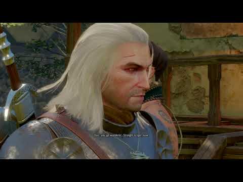 Video: The Witcher 3 - Comoara Contului Reuven, Menge, Whoreson Junior, Arena, Roche