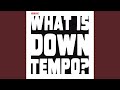 What is downtempo club mix