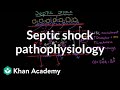Septic Shock Pathophysiology And Symptoms NCLEX RN Khan Academy Septic Shock Pathophysiology And Symptoms NCLEX RN Khan Academy