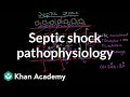 Septic shock - pathophysiology and symptoms | NCLEX-RN | Khan Academy