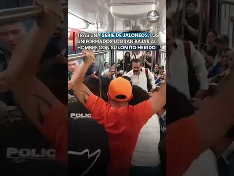 Policías sacan del metro a hombre con perrito herido  #shorts