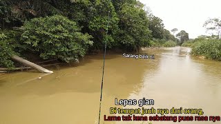 SARANG MAT GIAN:LAMA TAK LEPAS GIAN SARANG JAUH DARI ORANG.LINE CALEAR......