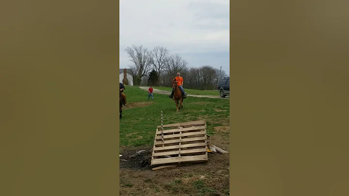 New 20!