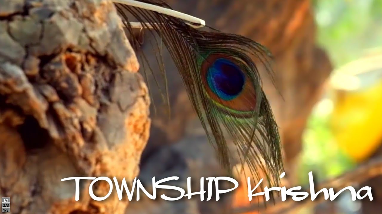 Township Krishna Youtube