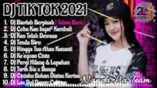 dj Tik TOK VERAL TERBARU