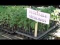 FBC NEWS SEGMENT 1   12 08 2012  flv