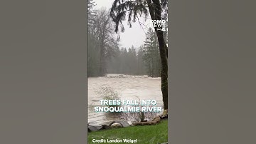 Trees fall into Snoqualmie River during flooding surge