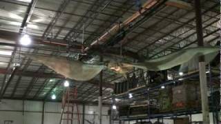 DINO101 Flying Pterodactyl.mpg