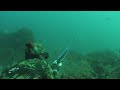 Spearfishing south africa  asd poenskop