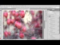 Hard Light Blending Mode Tutorial