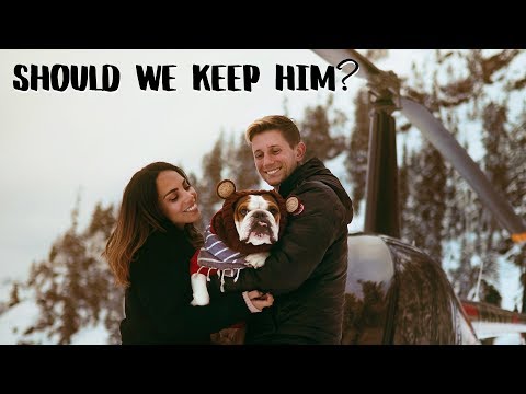 Meet the Flying Dog - Vancouver Heli Adventure