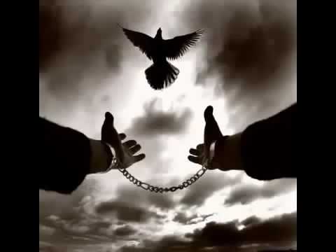 اجمل اغنية من مسلسل الارض الطيبة 