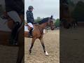 Warming up at the royal windsor horse show earlier this month