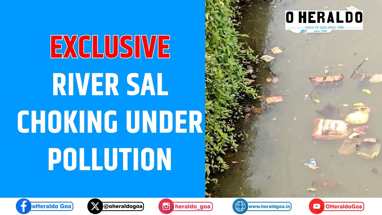 Река Сал задыхается от загрязнения, фермеры и рыбаки сильно пострадали.