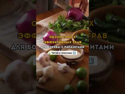 🌿 Обзор самых