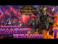 Total War: Warhammer 2 (Легенда) - Темные Эльфы: Малекит #1