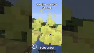 What Is A Sulfur Spring In Minecraft?