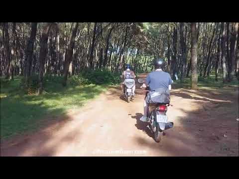 Video Vietnam Motorbike Tours: Tips To Avoid The Heat Riding... - youtube